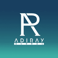 Software Developer logo